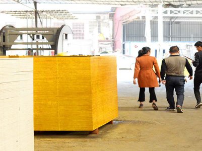 陜西地區(qū)建筑模板經銷商劉總